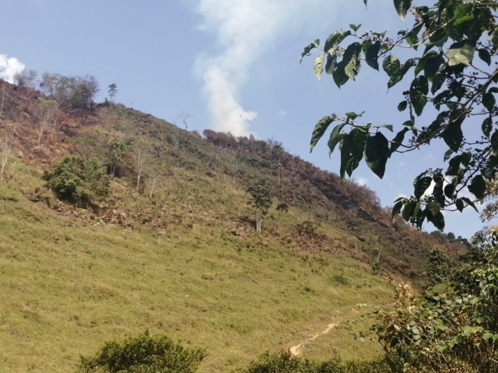 Dos incendios de cobertura vegetal y uno estructural se presentaron en los últimos tres días en Antioquia
