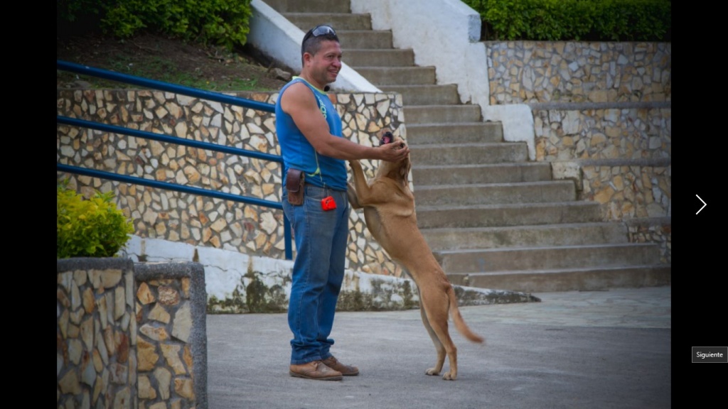 Los perros callejeros en Caicedo tienen su propio guardián: “El Tales”, Hugo Murillo.
