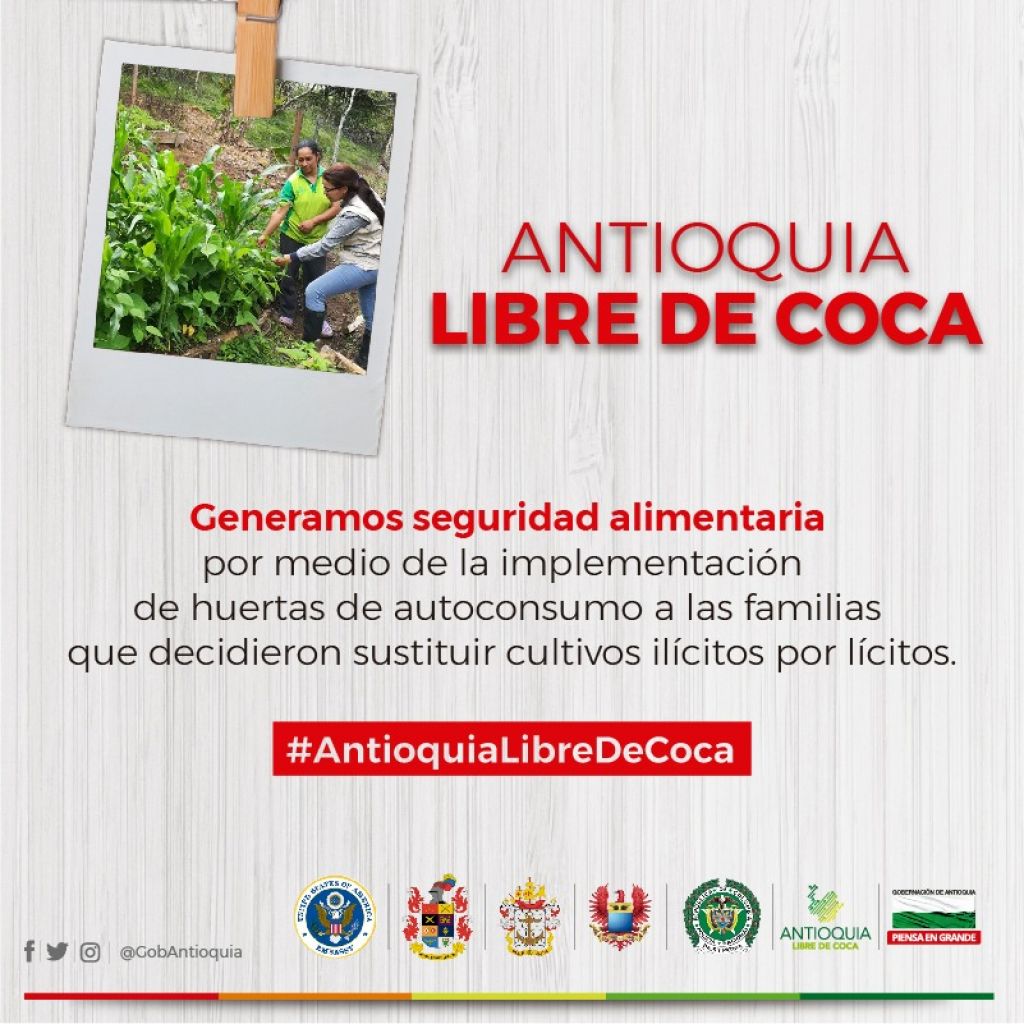 Luchamos para que Antioquia sea el primer Departamento libre de coca