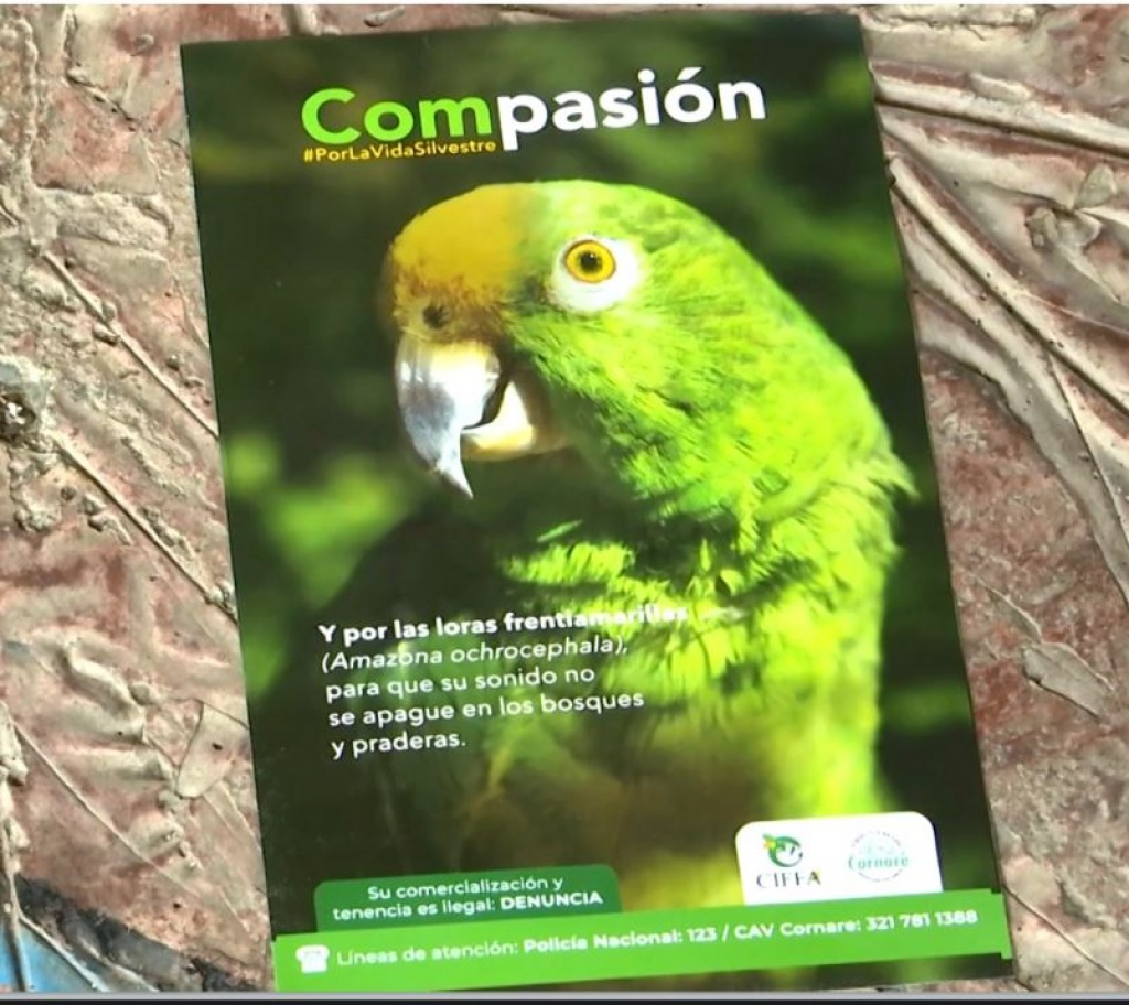 Comité Interinstitucional de Flora y Fauna de Antioquia invita al país a tener Compasión por la Vida Silvestre