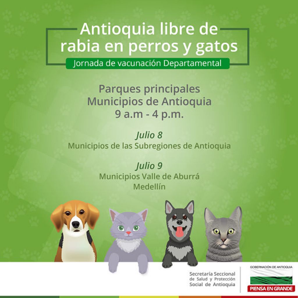 Antioquia trabaja para eliminar la Rabia en perros y gatos
