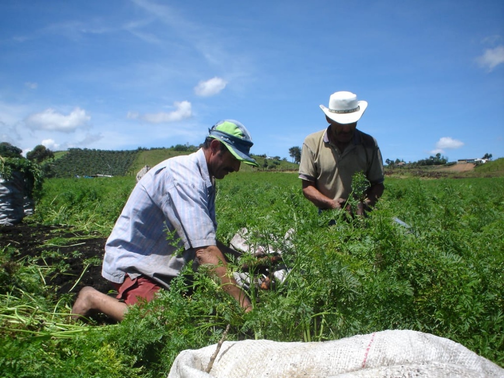 Con trabajo y la implementación de programas y proyectos, se celebra el Día del Campesino en Antioquia