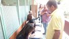 Jornada de plebiscito en Antioquia en paz y tranquilidad