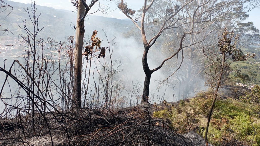 7 incendios de cobertura vegetal han sido reportados al Dagran en las últimas horas. Se reitera el llamado para reducir el riesgo de desastres por incendios en Antioquia