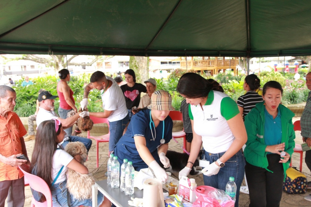 La Gerencia de Protección y Bienestar Animal avanza con programa masivo de esterilización de caninos y felinos en Antioquia