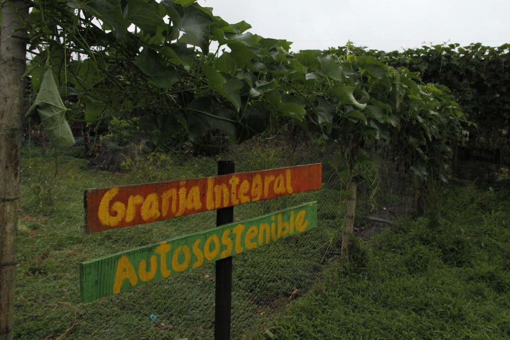 49.800 toneladas de alimentos se han perdido en Antioquia por el fenómeno de El Niño