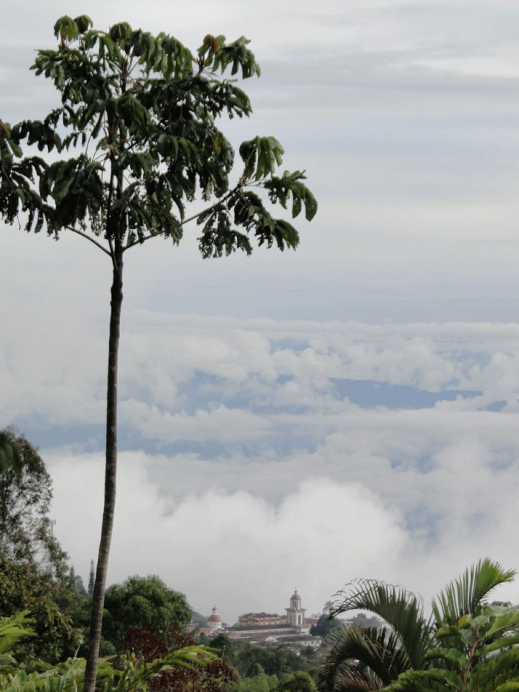 Antioquia presentó Plan Regional Cambio Climático