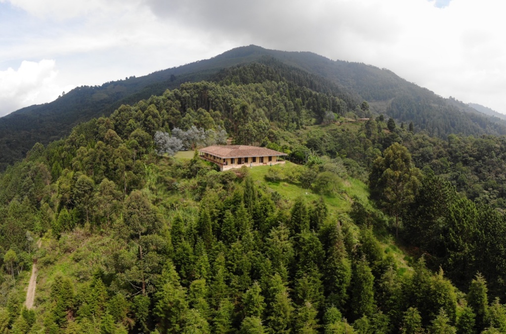 Antioquia le apuesta a la paz con proyectos agrícolas  por 100.000 millones de pesos