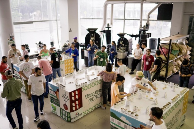 Tierra de Magia Cafetera reunió a 30 de las mejores muestras de café de especialidad de Antioquia