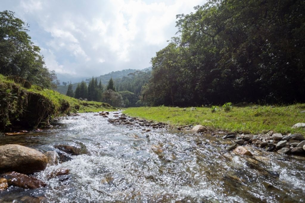 La Gobernación de Antioquia hace un llamado a la protección del planeta en el día mundial del medio ambiente