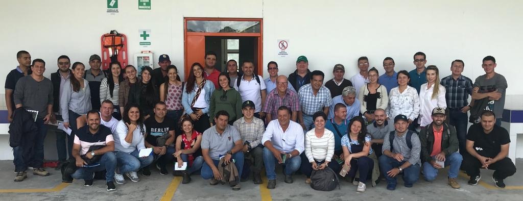 Antioquia se consolida como el primer departamento de Colombia en producción y exportación de aguacate Hass