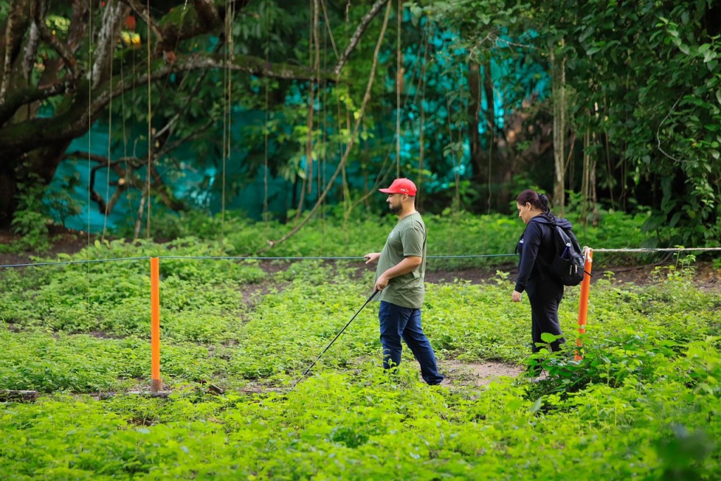 Antioquia tiene la primera ruta sensorial sonora de aves para personas con discapacidad visual