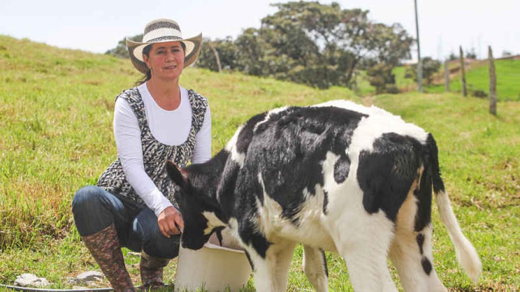 Aprueban inversiones por $8.149 millones para modernizar la ganadería de Antioquia