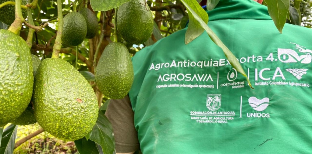 Antioquia cerrará el año con 560 predios más con registro ICA para la exportación de productos agrícolas en fresco