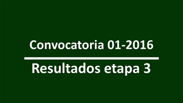 Resultados de la etapa III - convocatoria interna