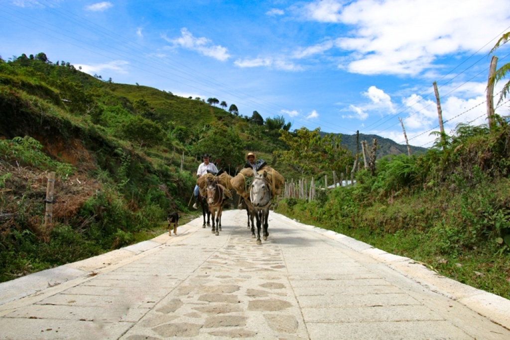 Semana de la Infraestructura:  Yolombó se transforma con una histórica inversión en proyectos de infraestructura vial
