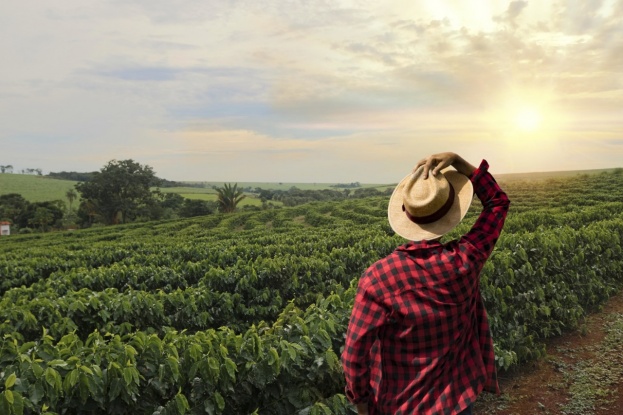 Antioquia propone Plan de Comercialización Agrícola para la Emergencia