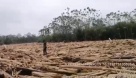 Dagran apoya a Murindó tras empalizada que obstruye el paso por el río Murindó