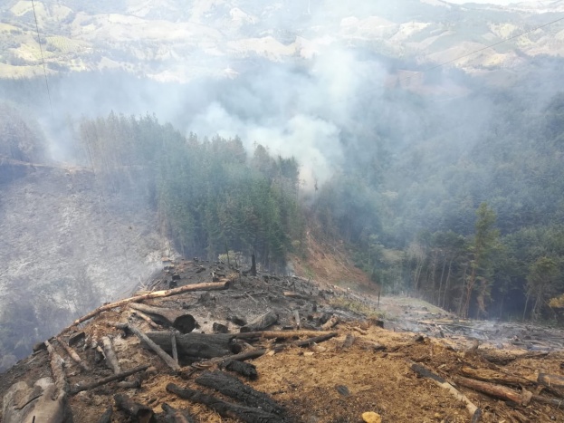 Quince incendios se han presentado en lo corrido de agosto en Antioquia, en su mayoría, al parecer, por causas antrópicas