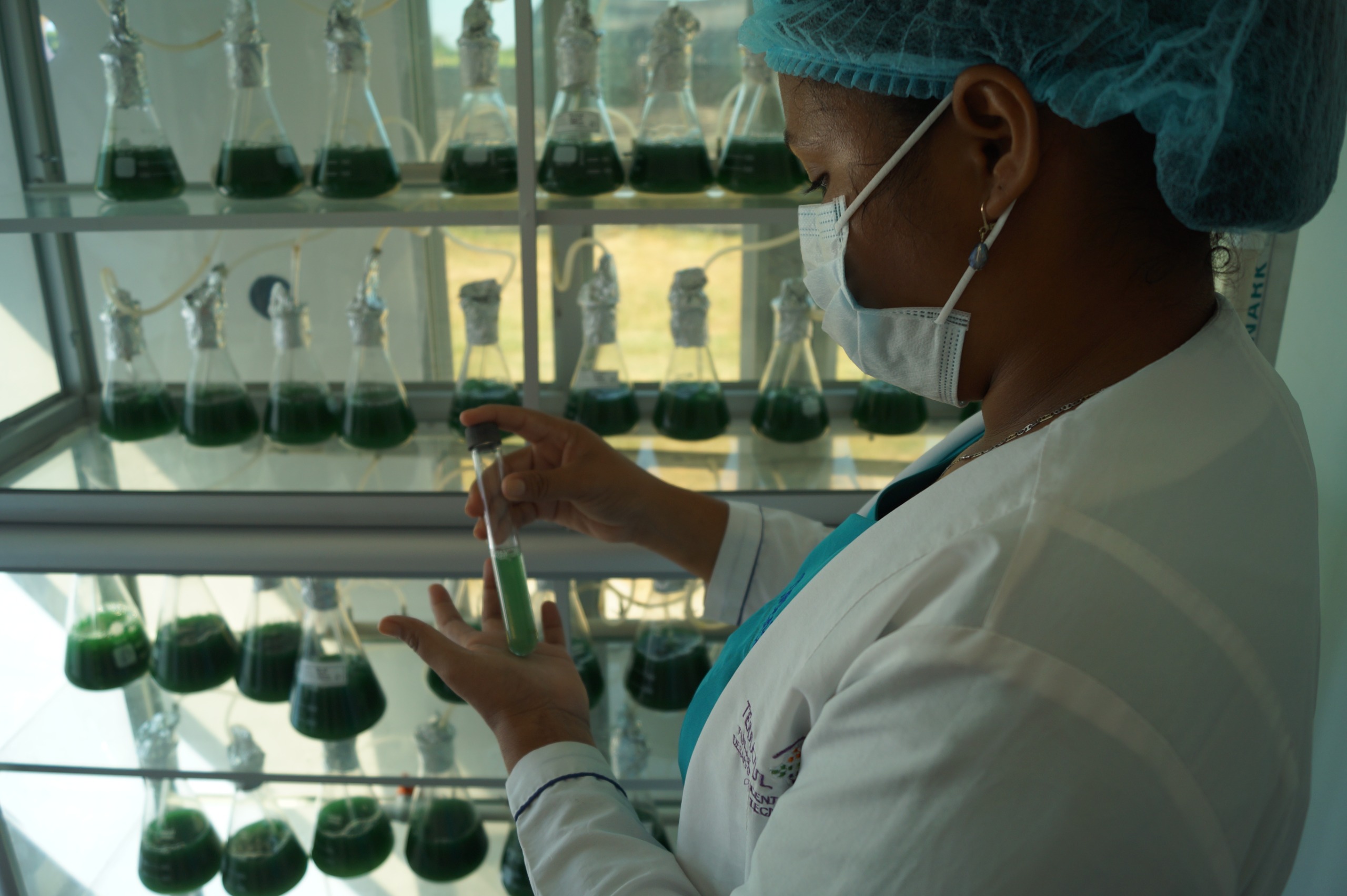 Antioquia Biocompetitiva abre tres convocatorias para impulsar empresas de bioeconomía en el departamento