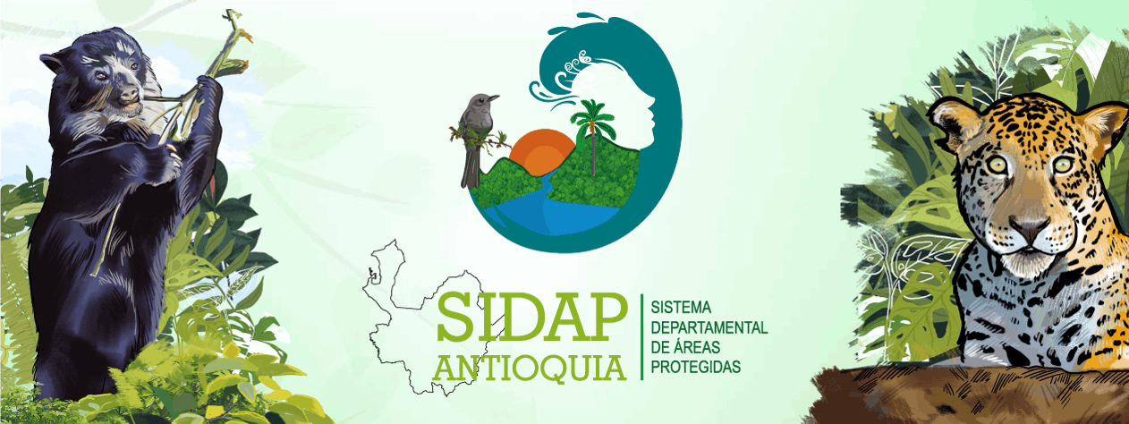 Banner SIDAP