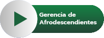 Gerencia de Afrodescendiente