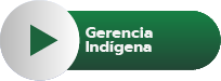 Gerencia Indígena