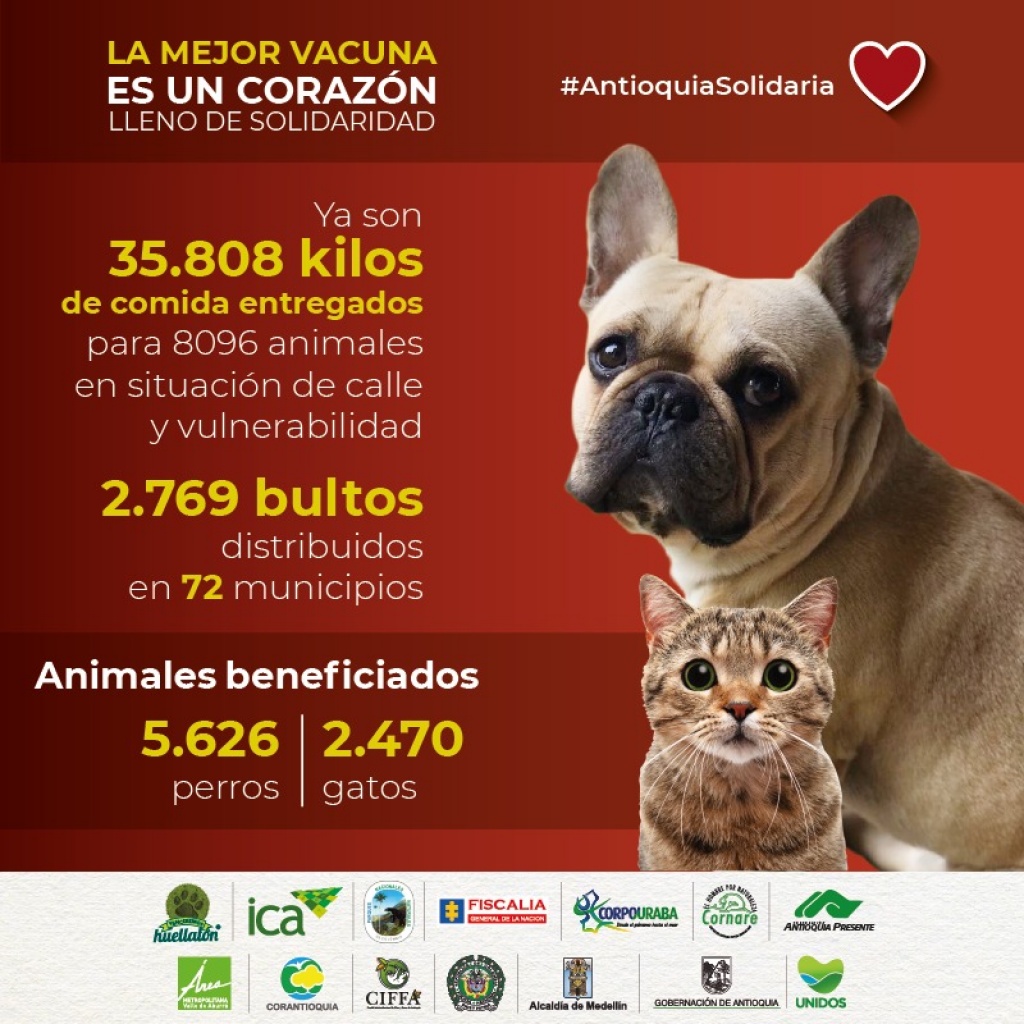 Antioquia Solidaria entrega alimento para animales en situación de calle y vulnerabilidad en San Pedro de los Milagros
