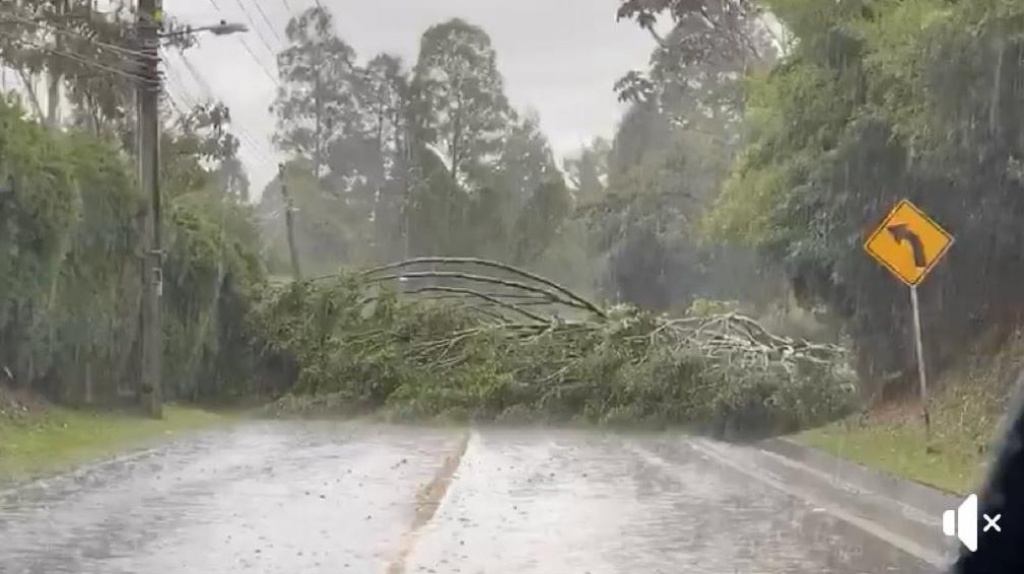 Tras fuertes lluvias cinco municipios de Antioquia reportan eventos, estos no dejan mayores afectaciones ni personas lesionadas