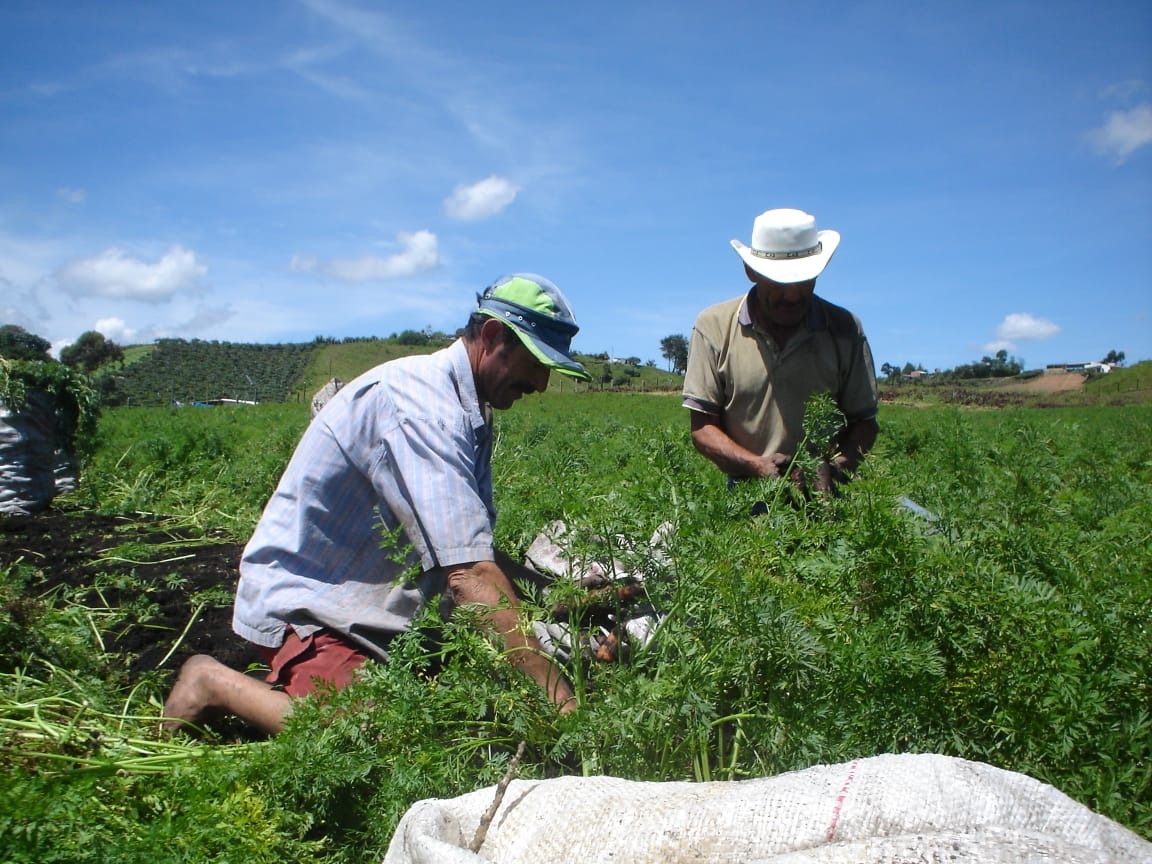 Seleccionados los delegados de Antioquia para la construcción de la Política Pública de la Población Campesina